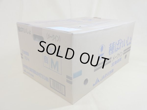 画像2: 種芋 メークイン (2)