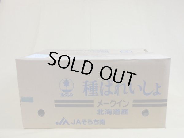 画像1: 種芋 メークイン (1)