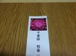 画像3: 雪割草 千重咲 和音 (3)