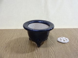 山野草鉢/蘭鉢の販売通販（楽風富貴蘭鉢 3.5号(鉢底サナ付き)） 株式