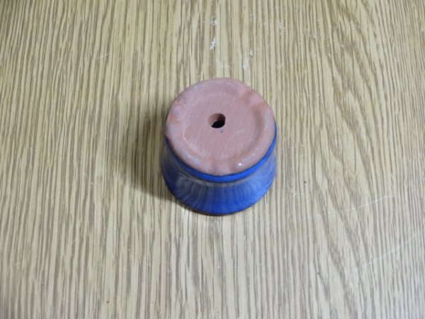 画像3: 1号/丸切立下帯/生子 (3)