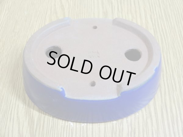 画像3: 3号 小判切立・ルリ(柴勝) (3)