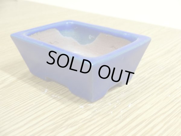 画像3: 2号 長方切立・ルリ(柴勝) (3)