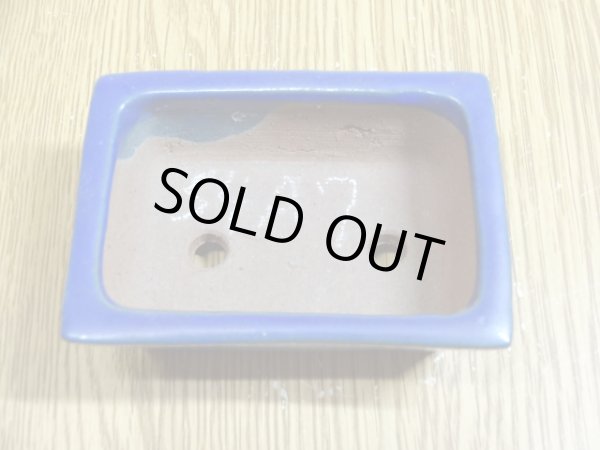 画像4: 2号 長方切立・ルリ(柴勝) (4)