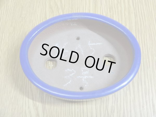 画像2: 3号 小判切立・ルリ(柴勝) (2)