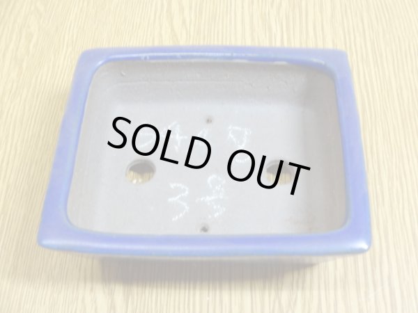 画像4: 3号 長角切立・ルリ(柴勝) (4)