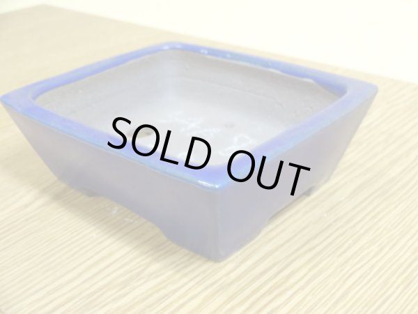 画像3: 3号 長角切立・ルリ(柴勝) (3)