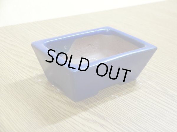 画像2: 2号 長方切立・ルリ(柴勝) (2)