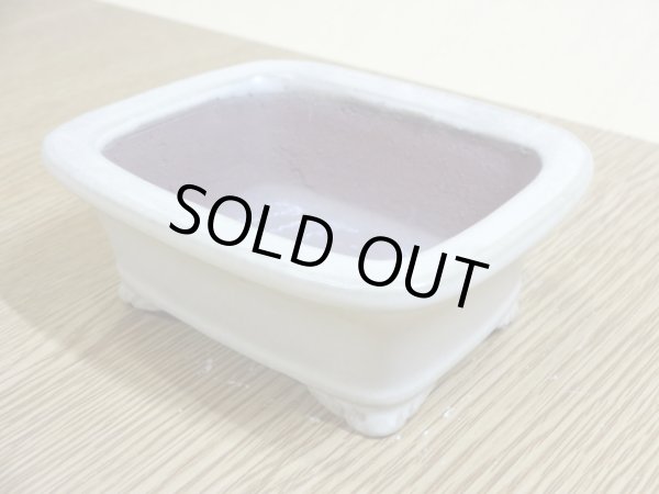 画像3: 3号 長角エン付雲足・クリーム(柴勝) (3)