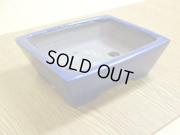 画像2: 3号 長角切立・ルリ(柴勝) (2)