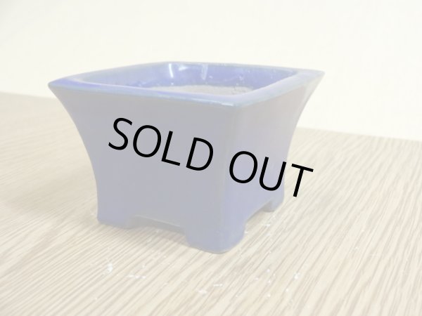 画像3: 2号 正角ソリ切立・ルリ(柴勝) (3)