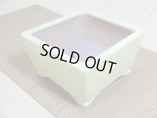 画像3: 4号 正角雲足・黄(一弘) (3)