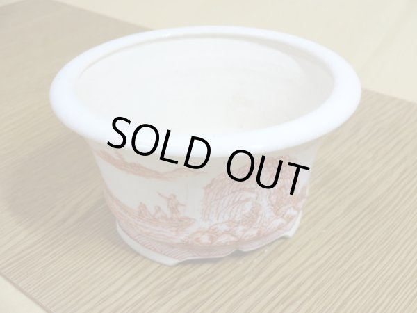 画像3: 3.5号 赤絵外縁丸(美功・勝山合作) (3)