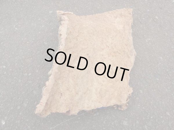 画像2: コルク 半丸(17) (2)