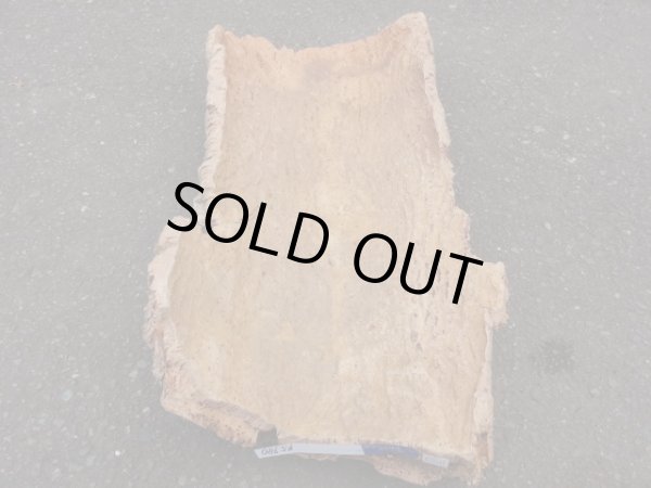 画像2: コルク 半丸(14) (2)