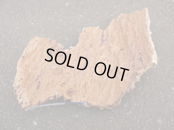 画像2: コルク 半丸(16) (2)