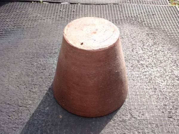 画像3: 睡蓮鉢(15) (3)