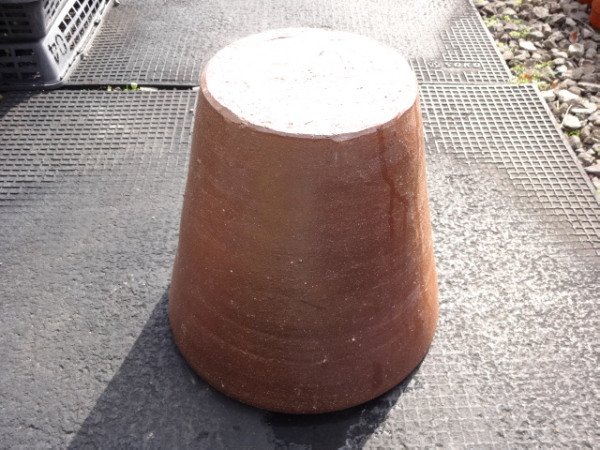 画像3: 睡蓮鉢(16) (3)