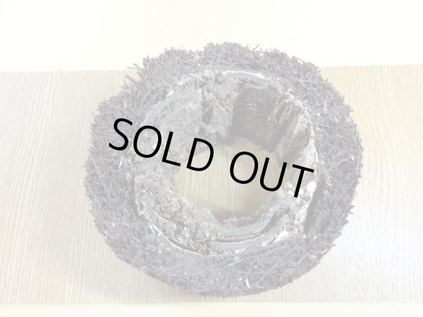 画像2: ヘゴ材 原木 丸(3) (2)