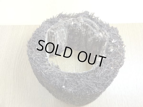 画像2: ヘゴ材 原木 丸(5) (2)