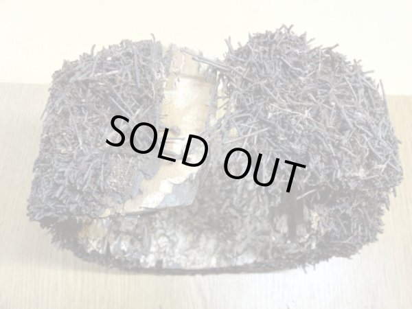 画像5: ヘゴ材 原木 丸(6) (5)