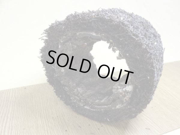 画像3: ヘゴ材 原木 丸(3) (3)