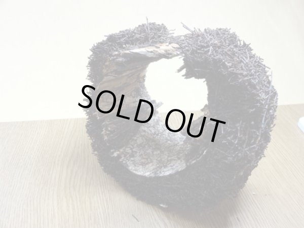 画像3: ヘゴ材 原木 丸(6) (3)