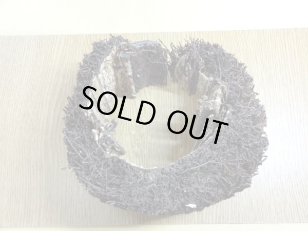 画像2: ヘゴ材 原木 丸(6) (2)