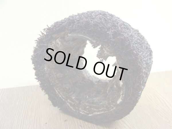 画像3: ヘゴ材 原木 丸(1) (3)