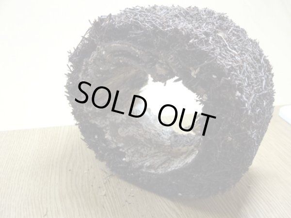 画像3: ヘゴ材 原木 丸(5) (3)