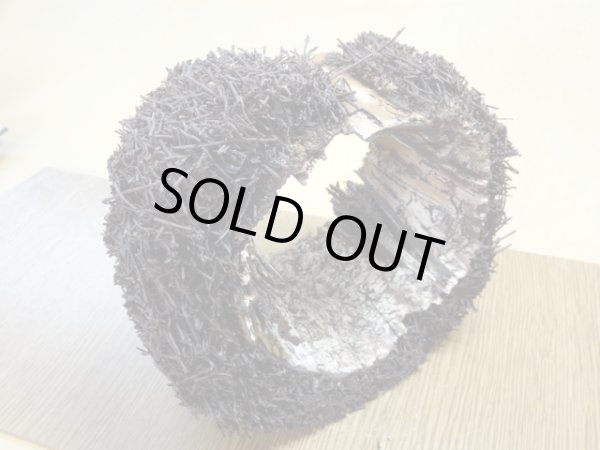 画像4: ヘゴ材 原木 丸(6) (4)