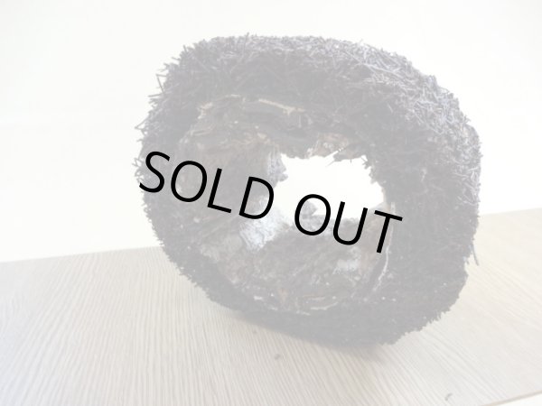 画像3: ヘゴ材 原木 丸(2) (3)