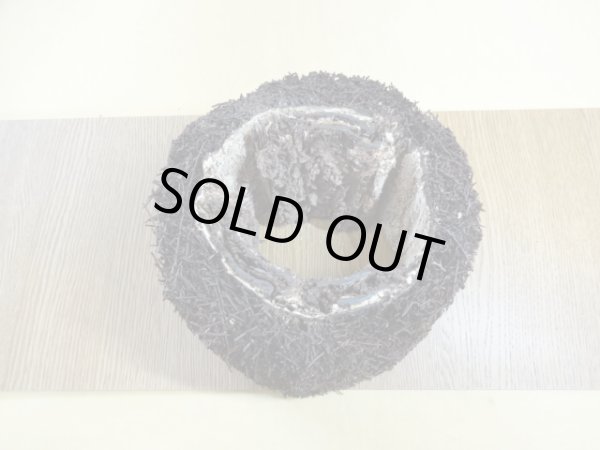 画像2: ヘゴ材 原木 丸(2) (2)