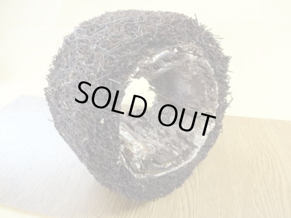 画像4: ヘゴ材 原木 丸(2) (4)