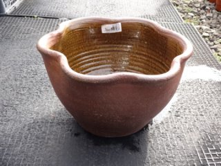 水盤/水蓮鉢/カメの販売通販（睡蓮鉢(19)） 株式会社 原田園芸（原田園芸）