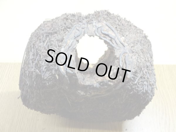 画像5: ヘゴ材 原木 丸(4) (5)