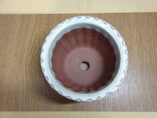 画像2: 4号 クリーム立筋 (2)