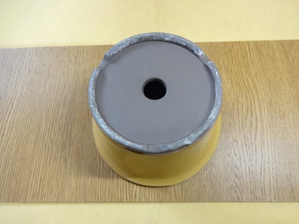 画像3: 5.5号 黄丸反型 (3)