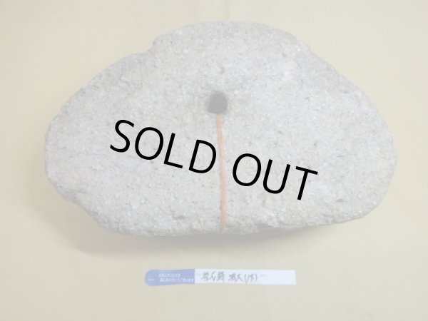 画像3: 軽石鉢 特大(14) (3)