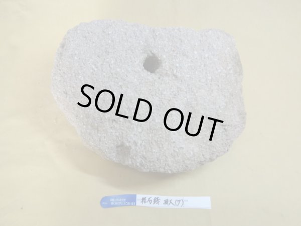 画像3: 軽石鉢 特大(7) (3)