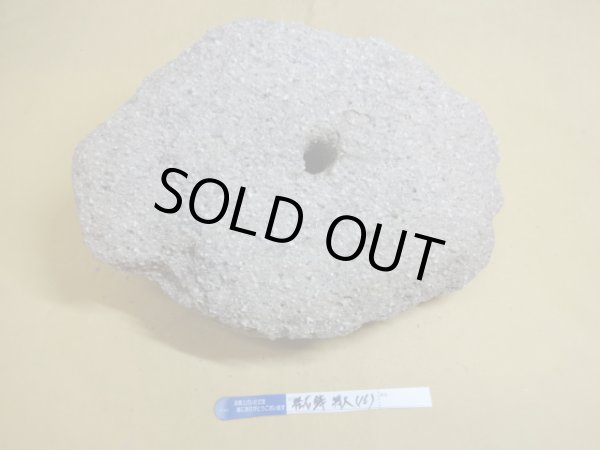 画像3: 軽石鉢 特大(16) (3)