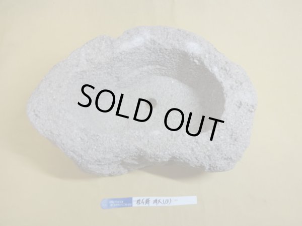 画像2: 軽石鉢 特大(13) (2)