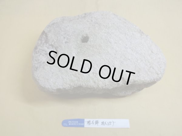 画像3: 軽石鉢 特大(15) (3)