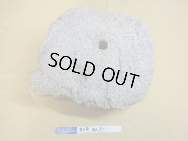 画像3: 軽石鉢 特大(9) (3)