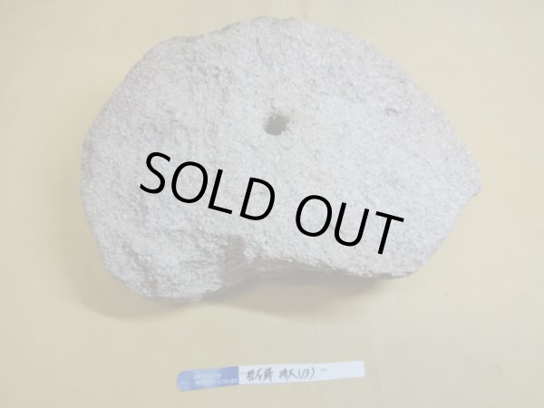 画像3: 軽石鉢 特大(13) (3)