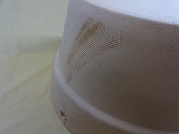 画像4: 12号 メダカ睡蓮鉢(ゴマ) (4)