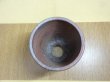 画像4: 伝市鉢 のぼり窯 シャジン鉢4号(1) (4)
