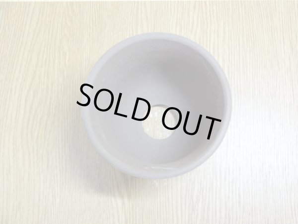 画像2: エビネ鉢帯入(ウ泥) 3号 (2)