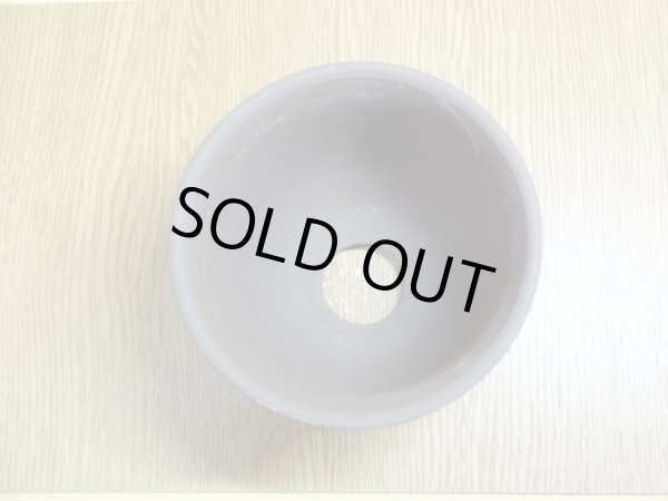 画像2: エビネ鉢帯入(ウ泥) 3.5号 (2)