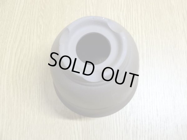 画像3: エビネ鉢帯入(ウ泥) 3.5号 (3)